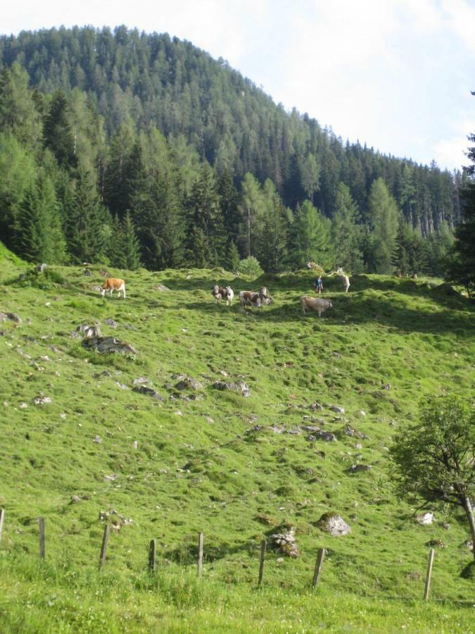 Pension Hedegghof Grossarl Eksteriør billede